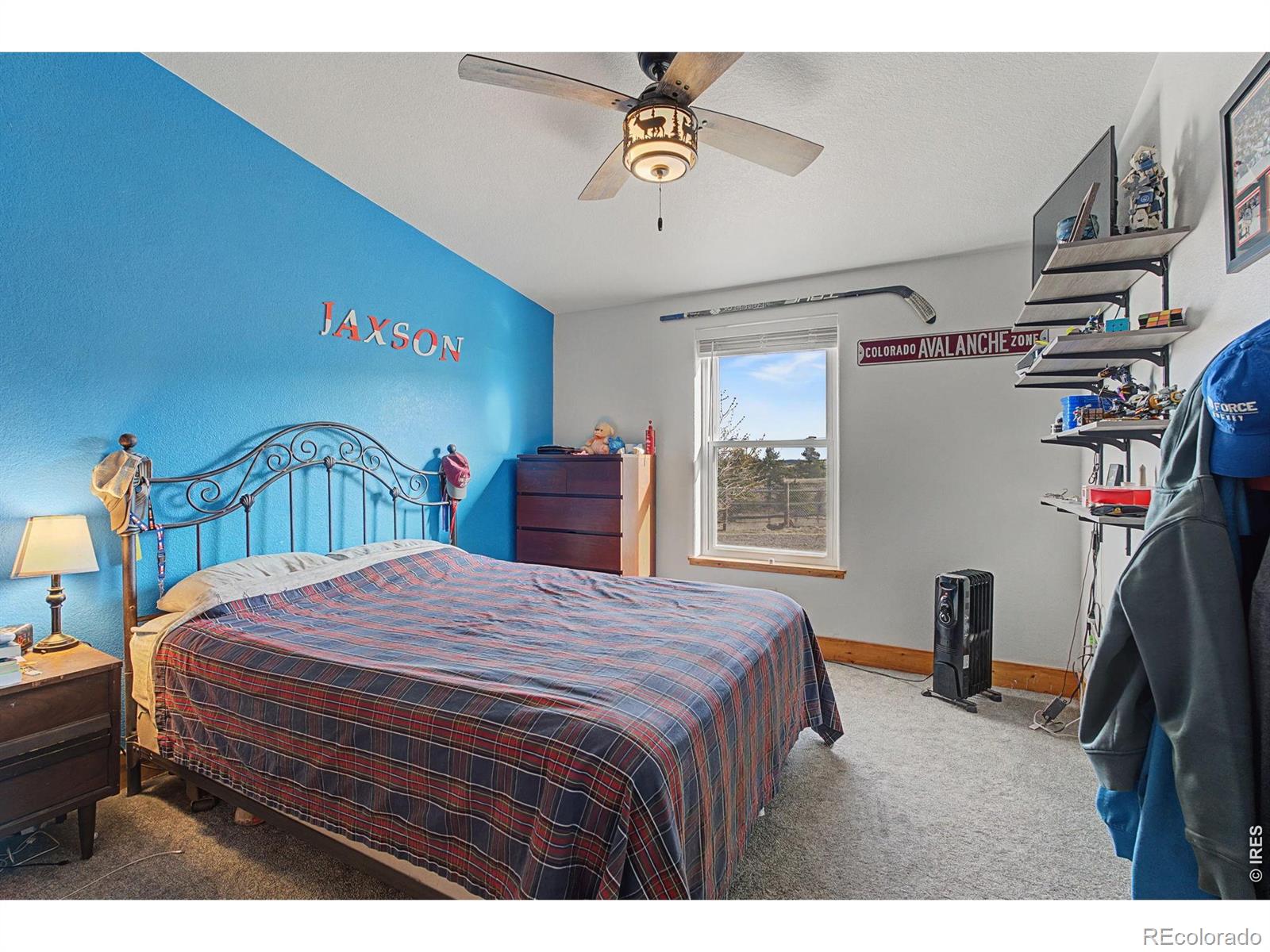 223 Timber Drive Livermore CO 80536