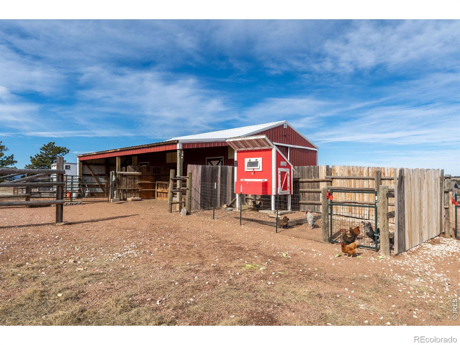 223 Timber Drive Livermore CO 80536