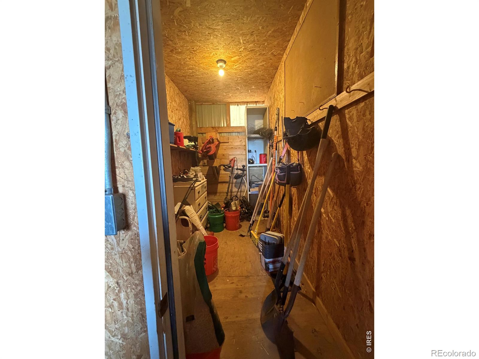 223 Timber Drive Livermore CO 80536