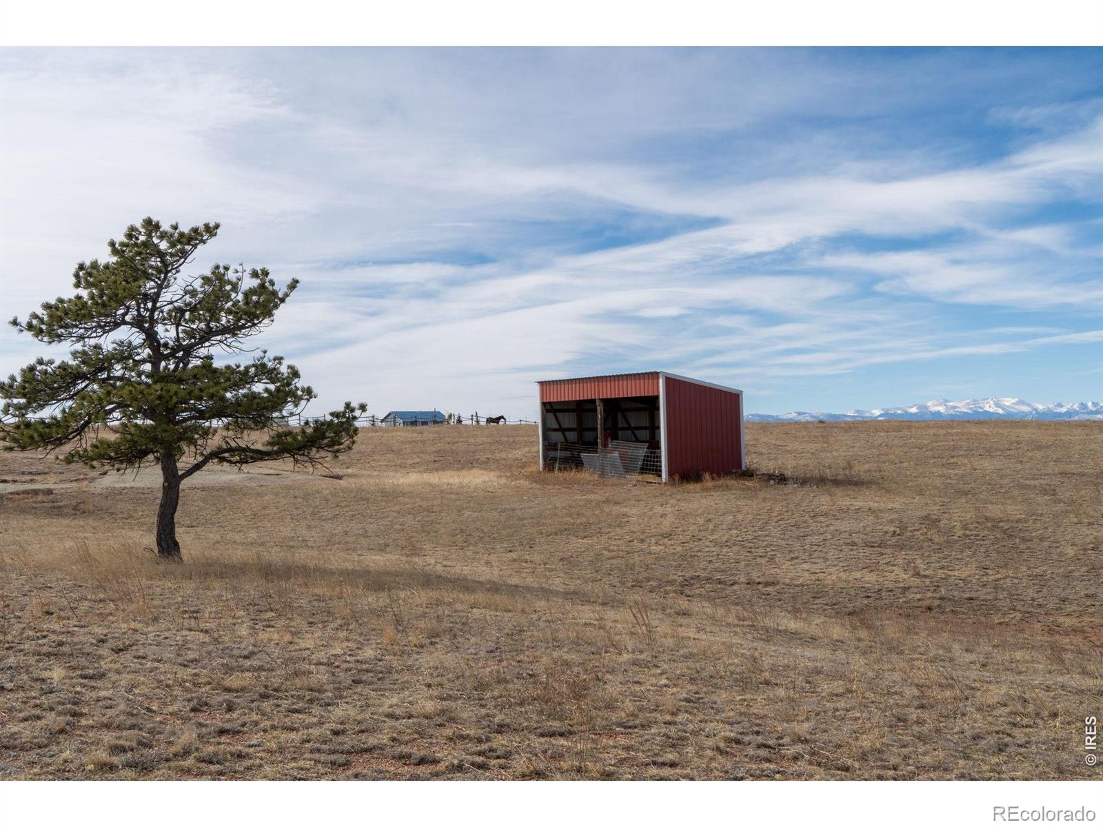 223 Timber Drive Livermore CO 80536