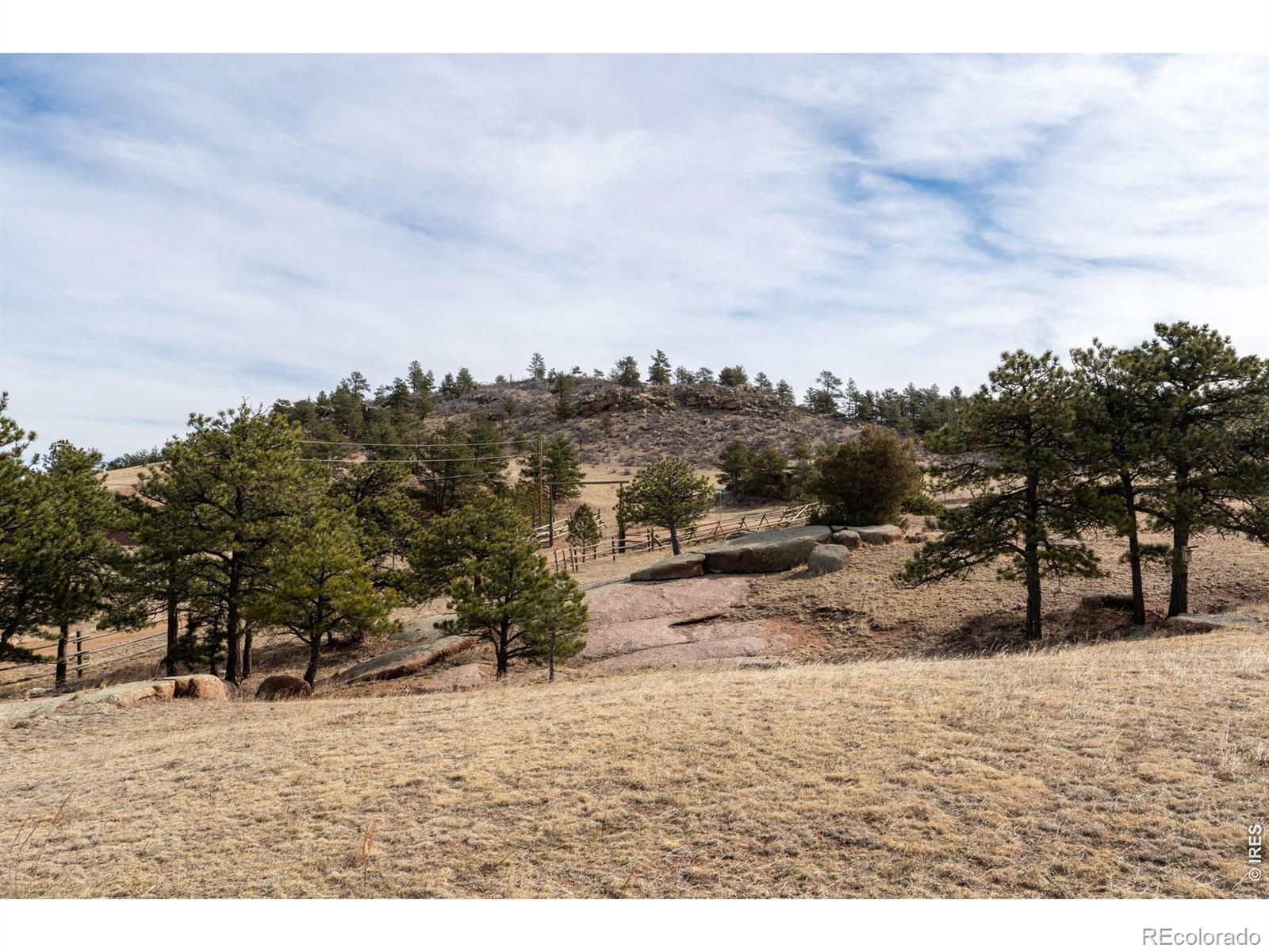 223 Timber Drive Livermore CO 80536
