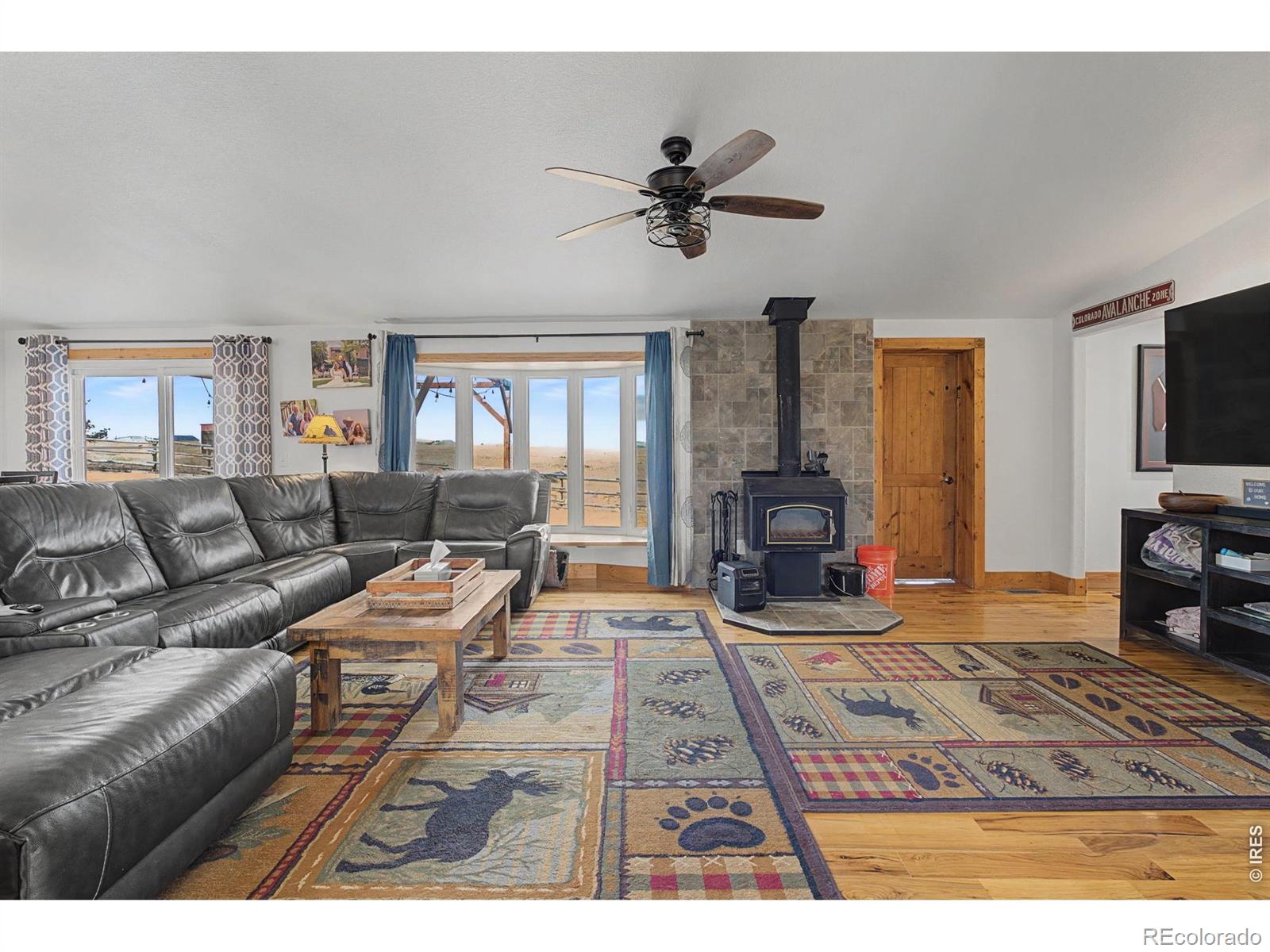 223 Timber Drive Livermore CO 80536