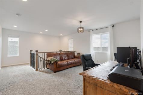 443 Blue Teal Drive Castle Rock CO 80104