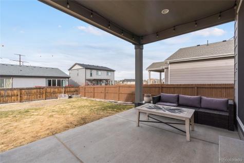 443 Blue Teal Drive Castle Rock CO 80104