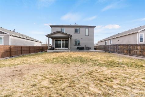 443 Blue Teal Drive Castle Rock CO 80104