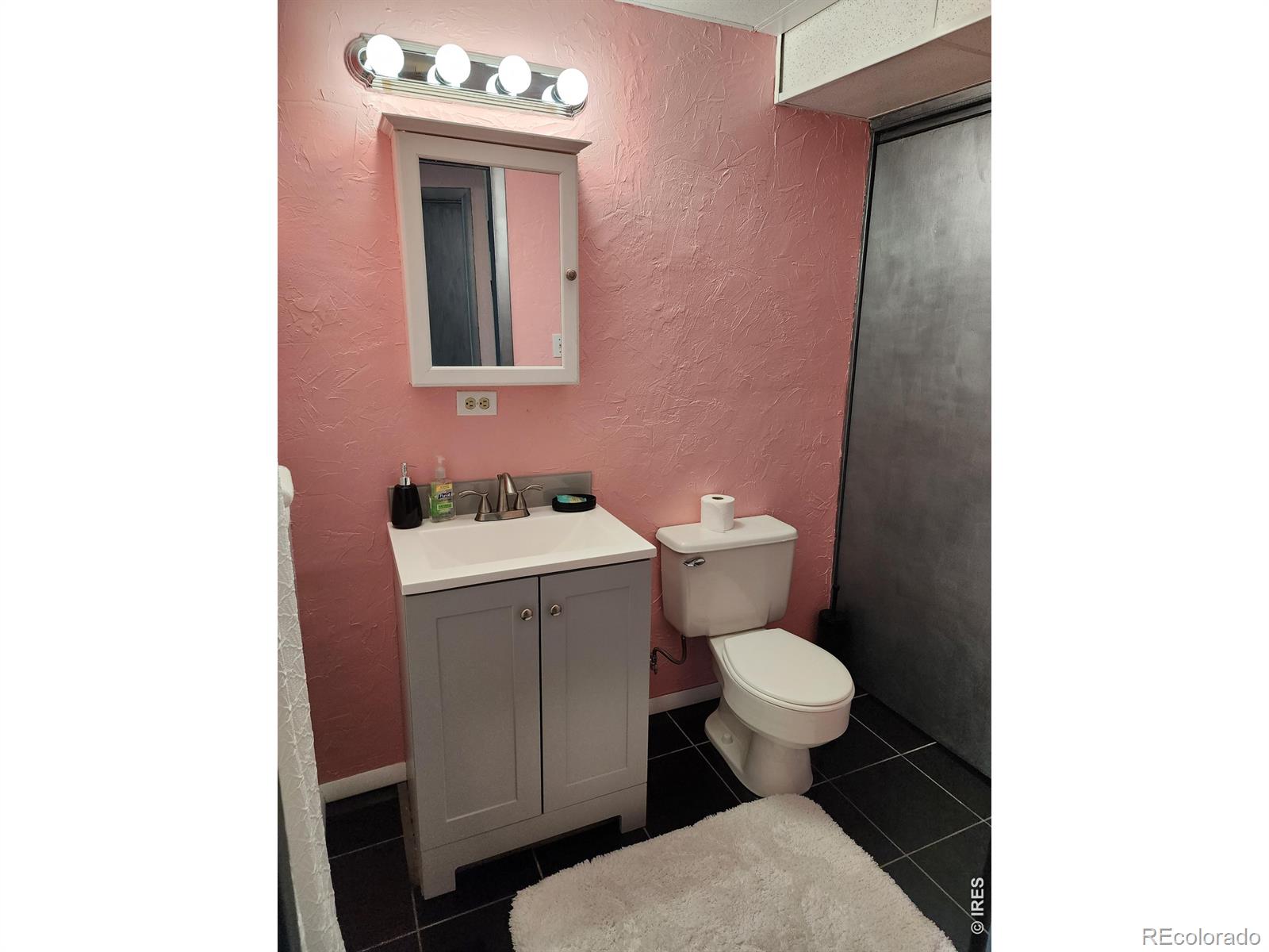 88 Pinyon Trail Estes Park CO 80517