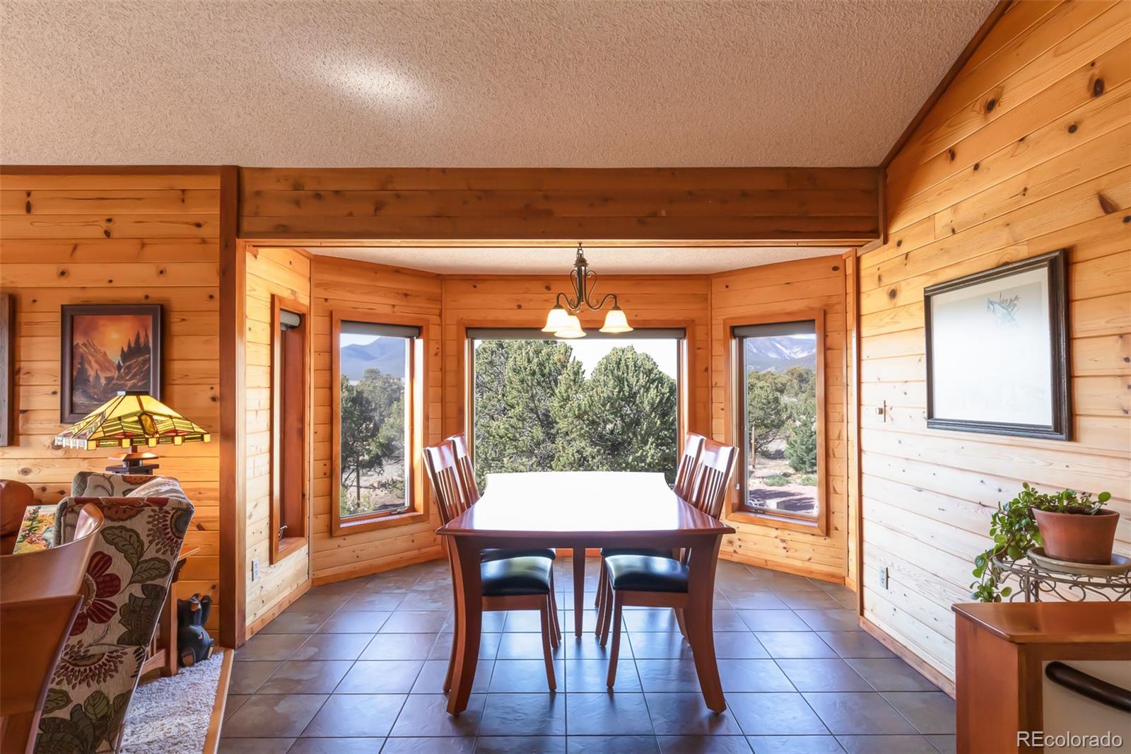 29255 Pinon Circle Buena Vista CO 81211