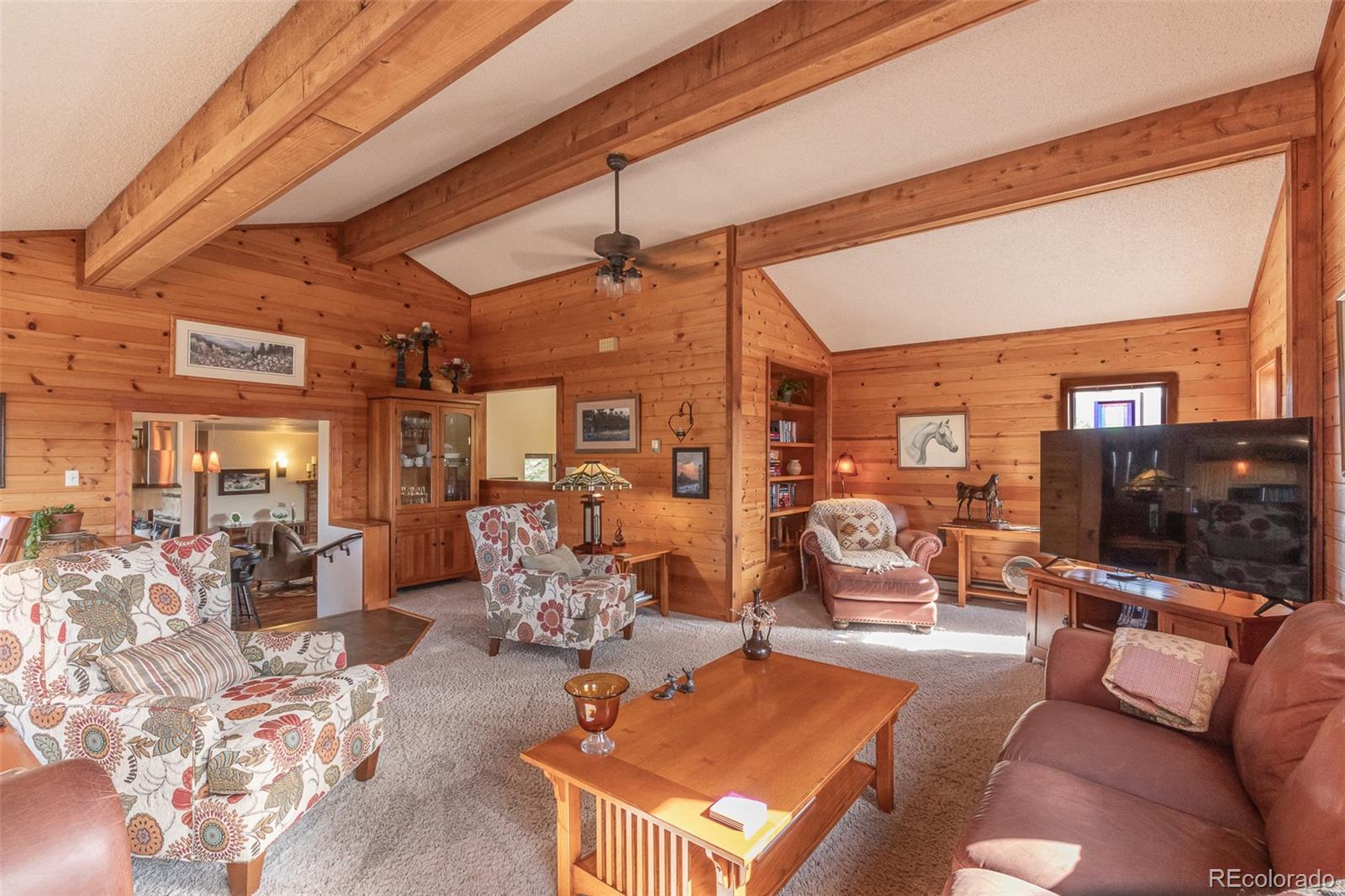 29255 Pinon Circle Buena Vista CO 81211