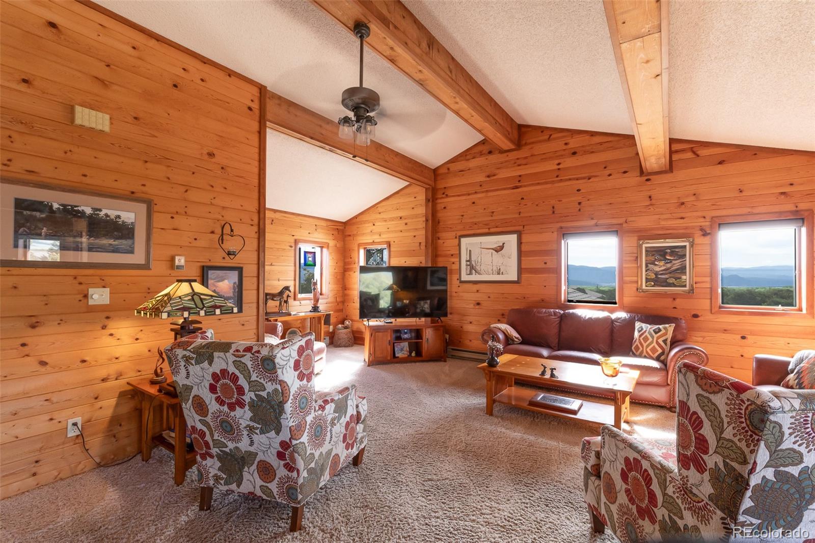 29255 Pinon Circle Buena Vista CO 81211