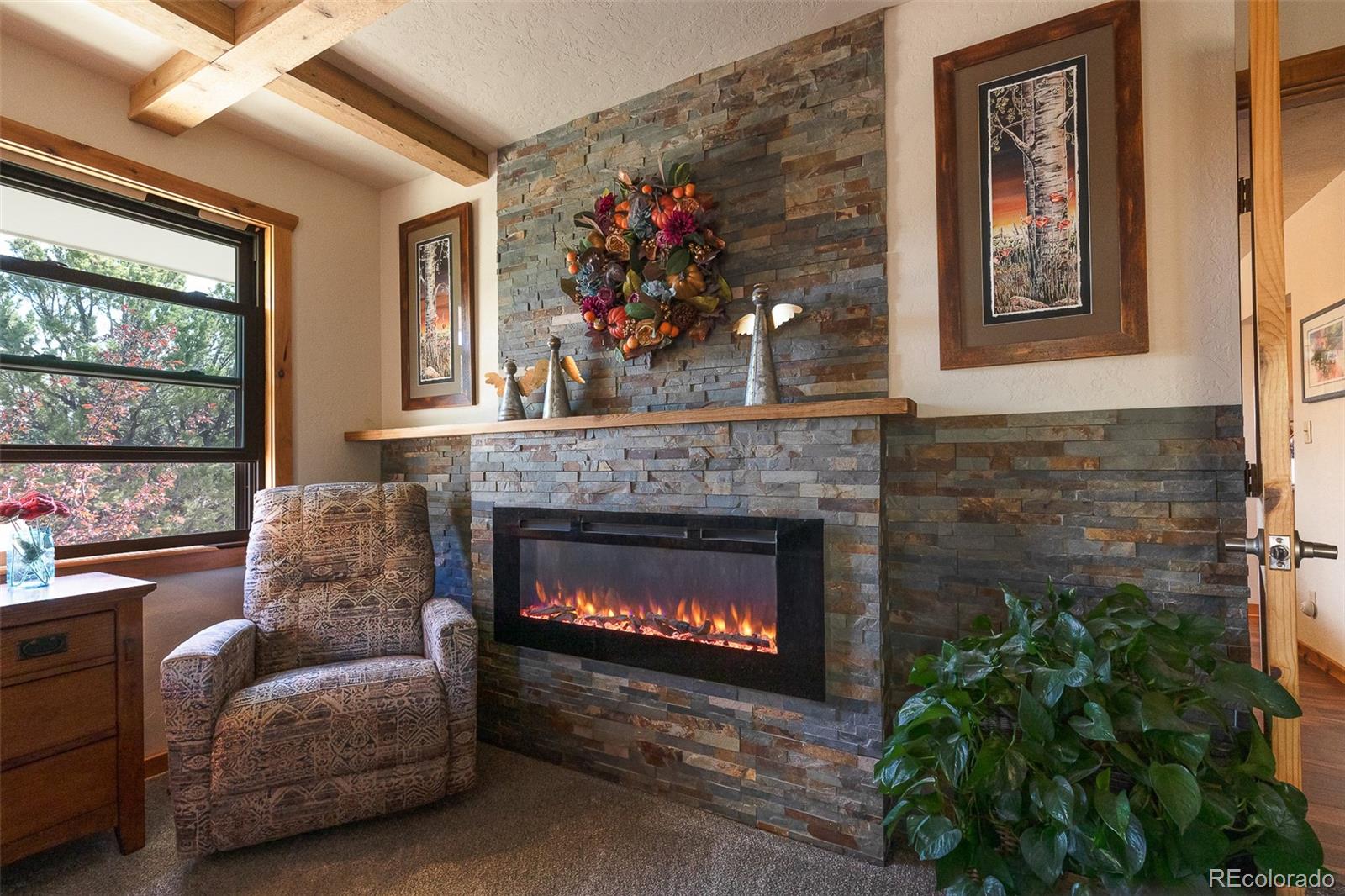 29255 Pinon Circle Buena Vista CO 81211