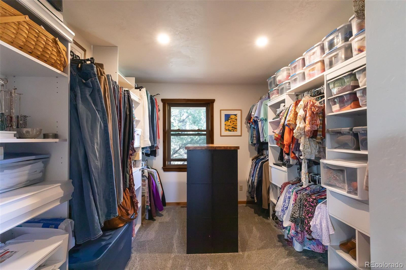 29255 Pinon Circle Buena Vista CO 81211