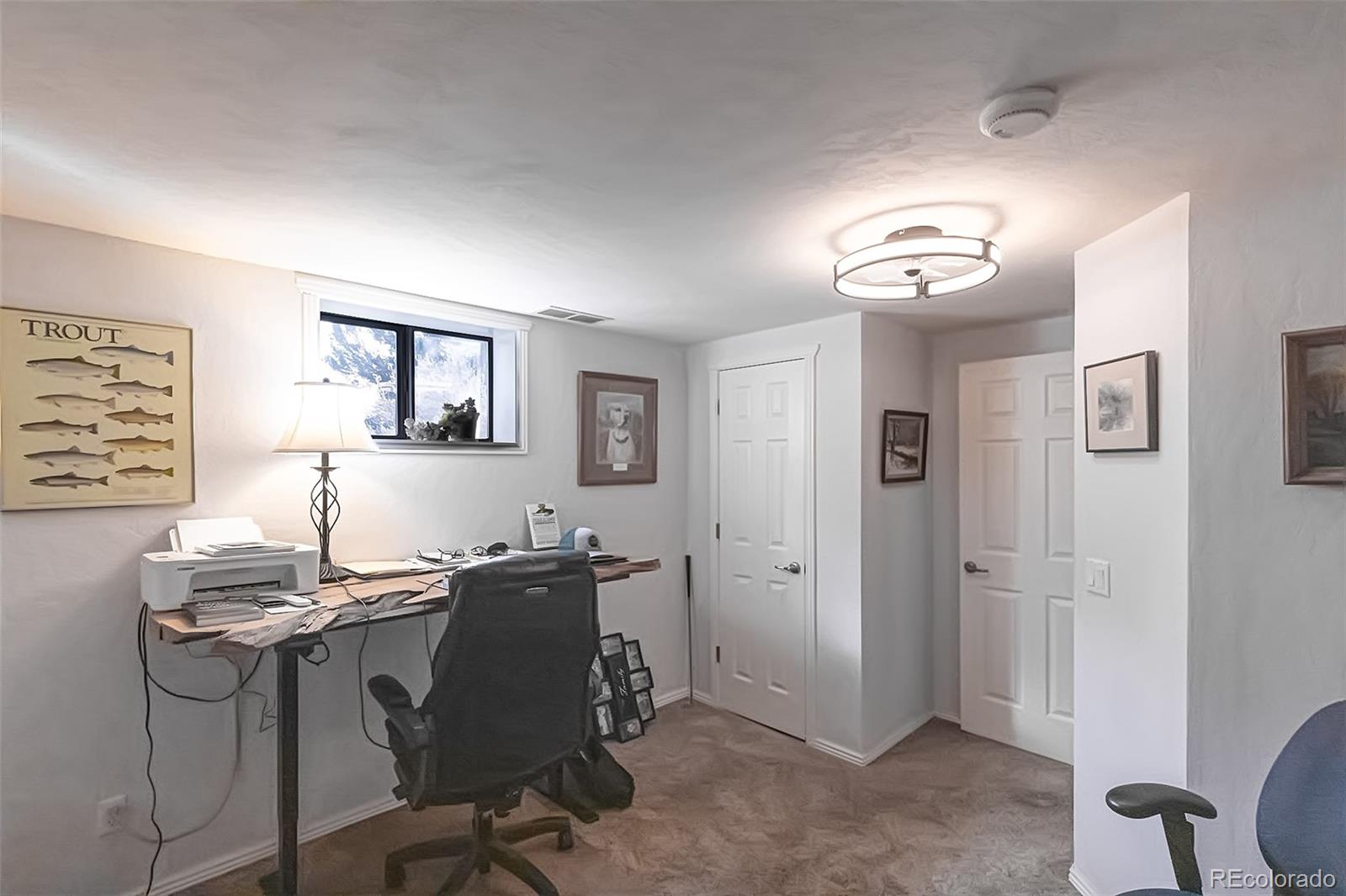 29255 Pinon Circle Buena Vista CO 81211