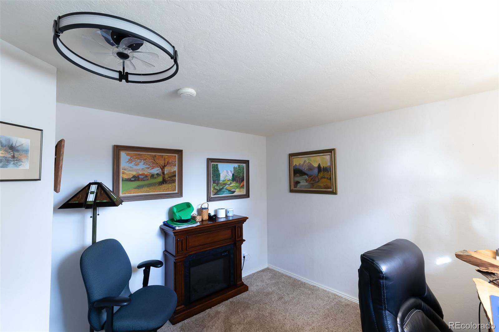29255 Pinon Circle Buena Vista CO 81211