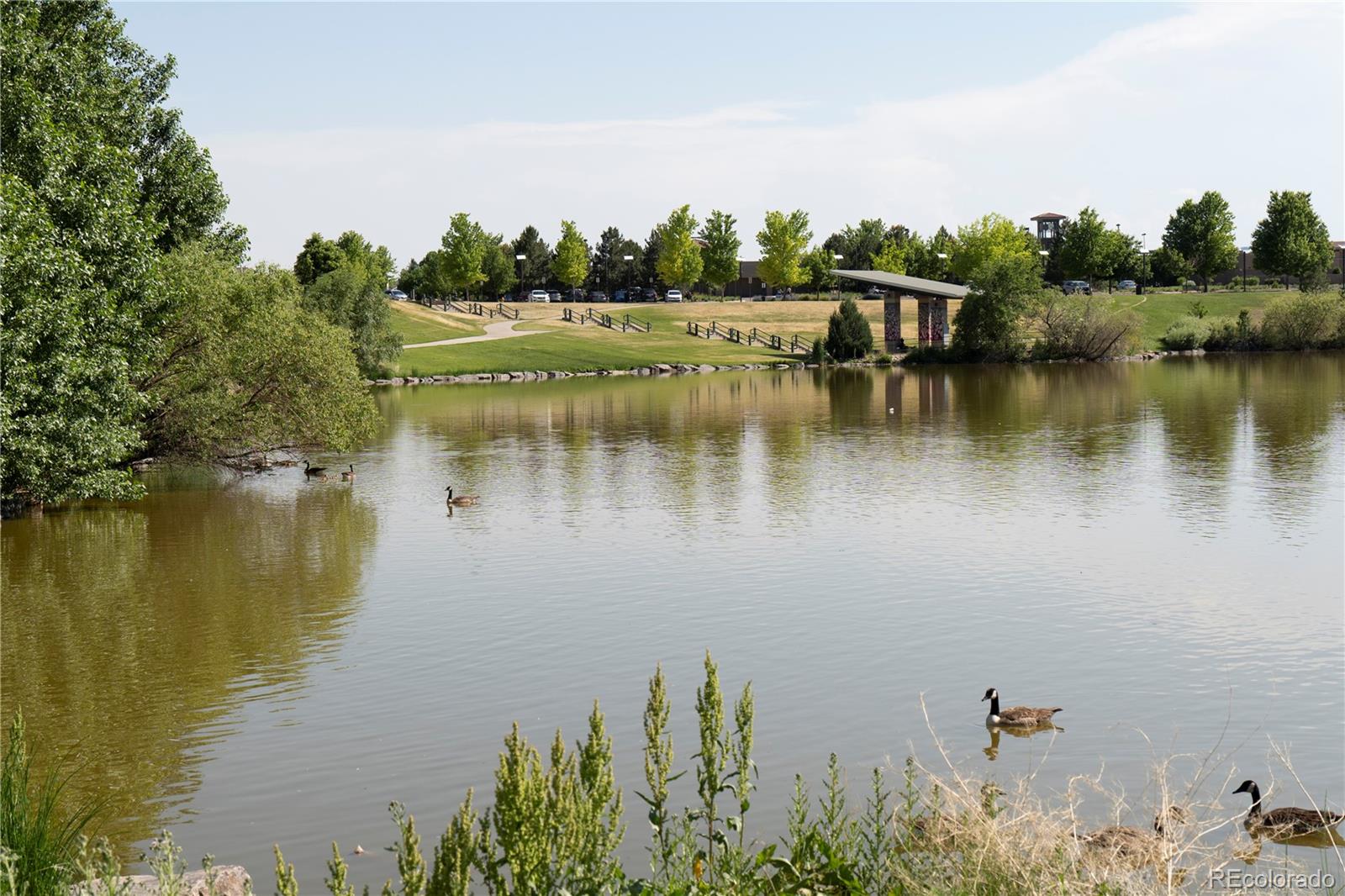 22333 E 46th Avenue Aurora CO 80019