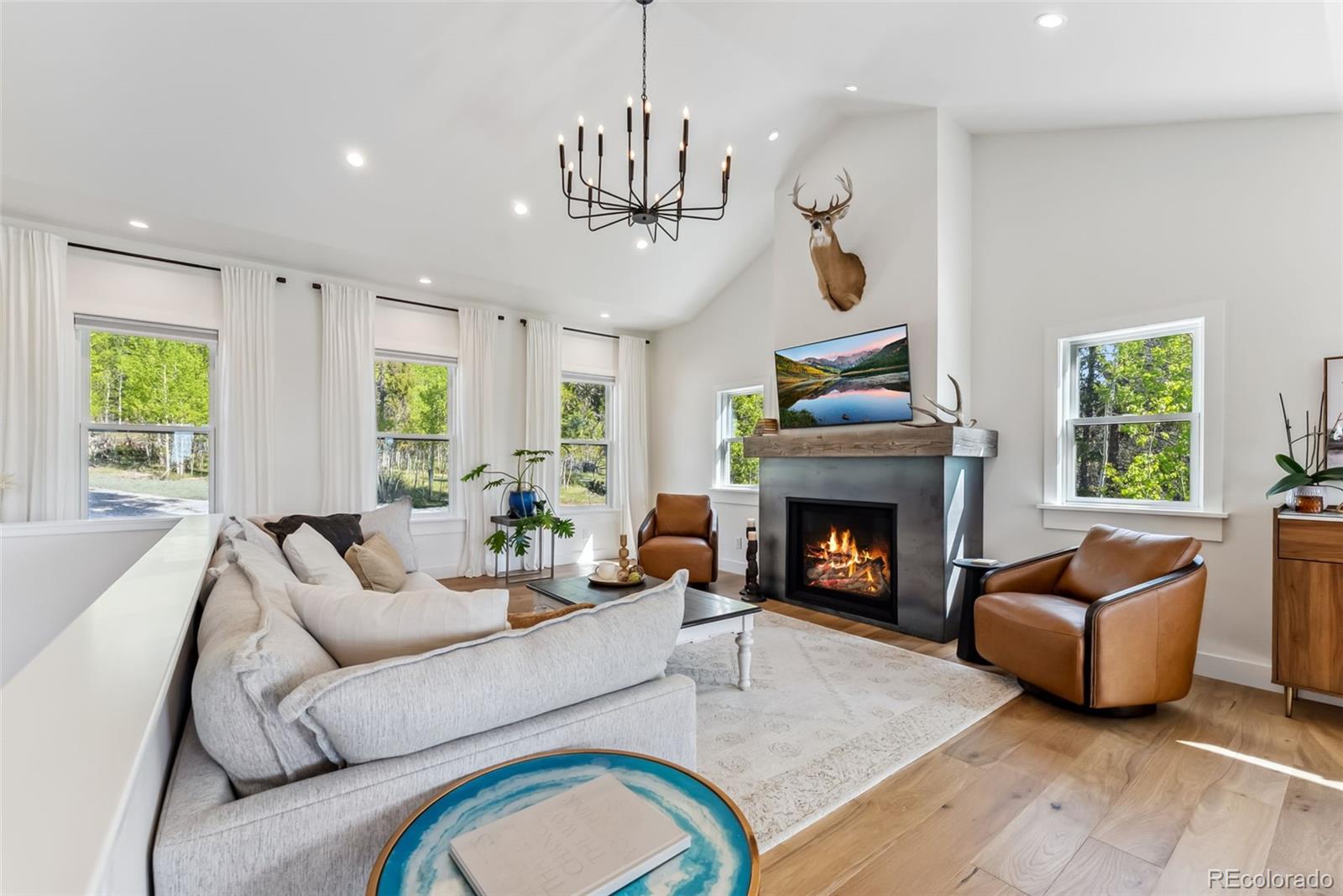 372 Park View Drive Fairplay CO 80440