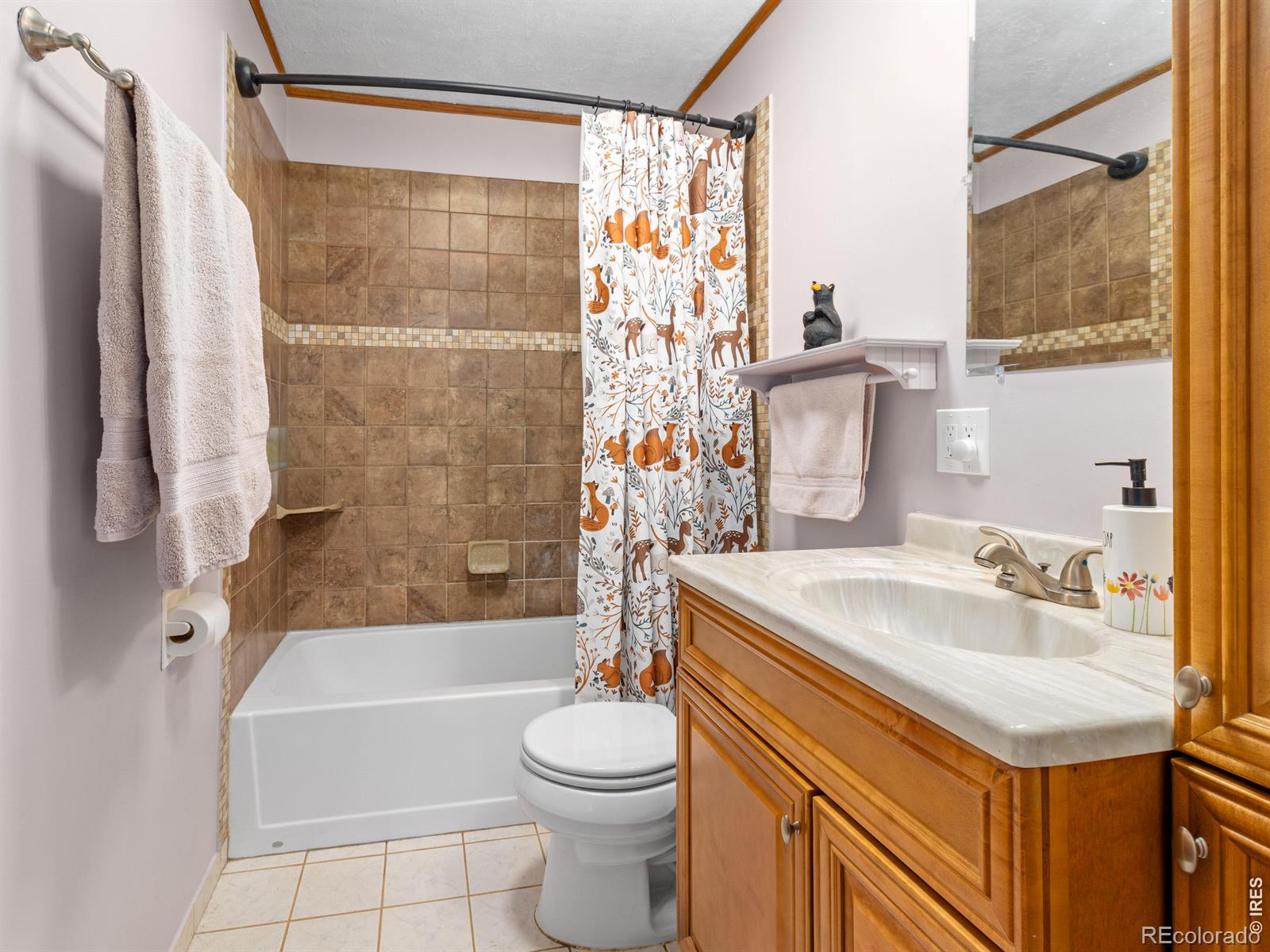 517 Birch Avenue Estes Park CO 80517