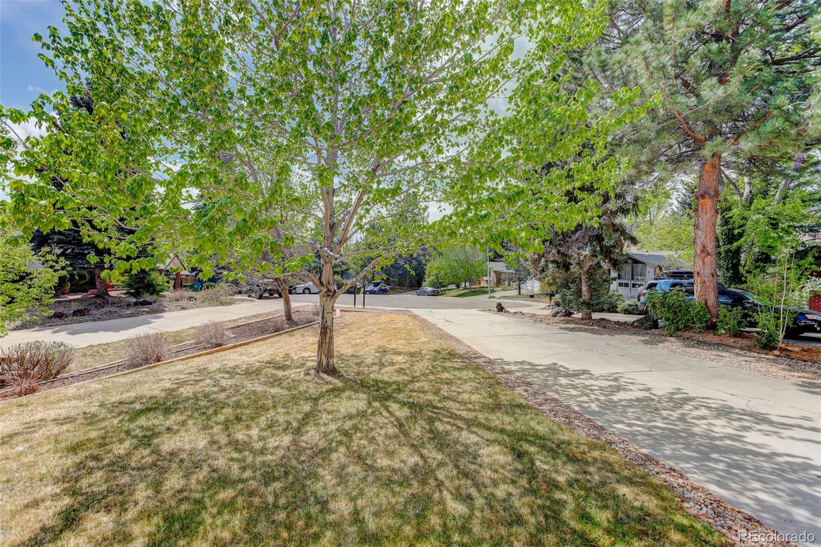14379 W 5th Avenue Golden CO 80401
