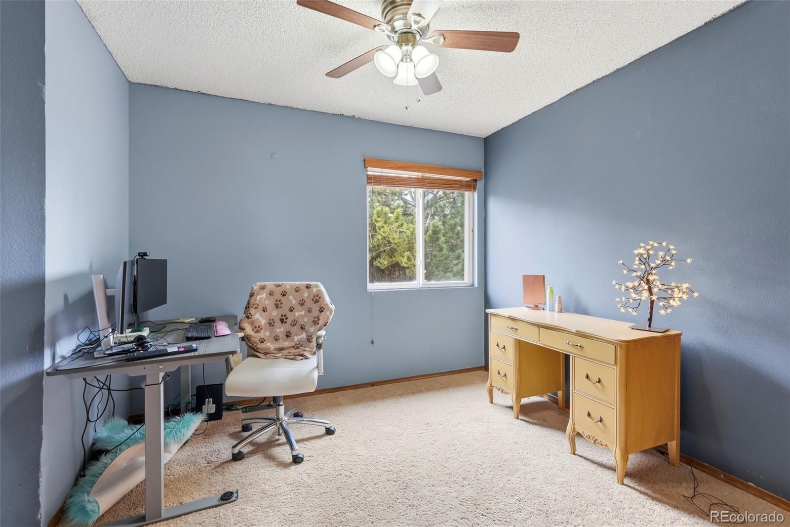 6095 Breeze Court Colorado Springs CO 80918
