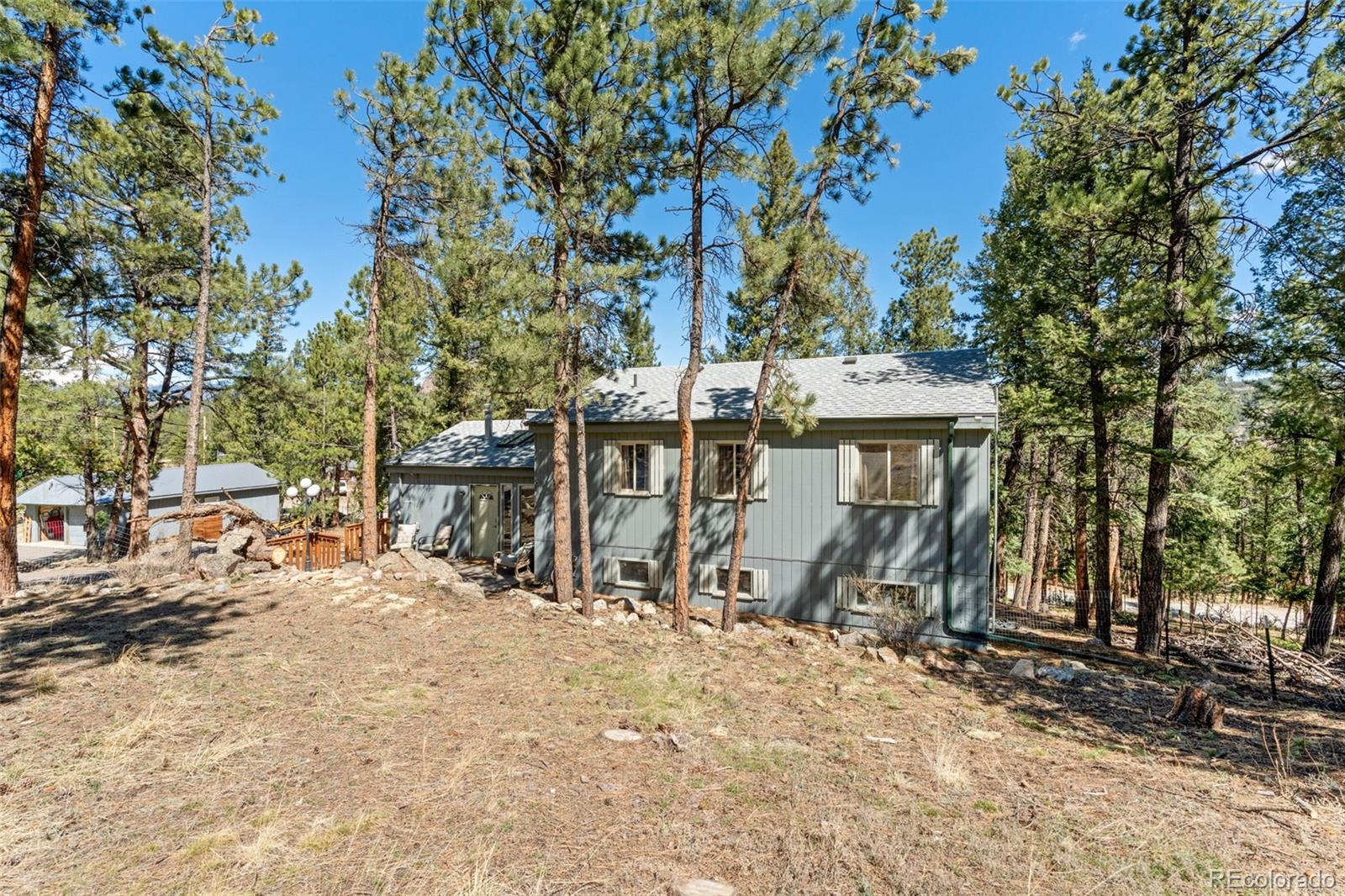 20 Long Ridge Drive Bailey CO 80421