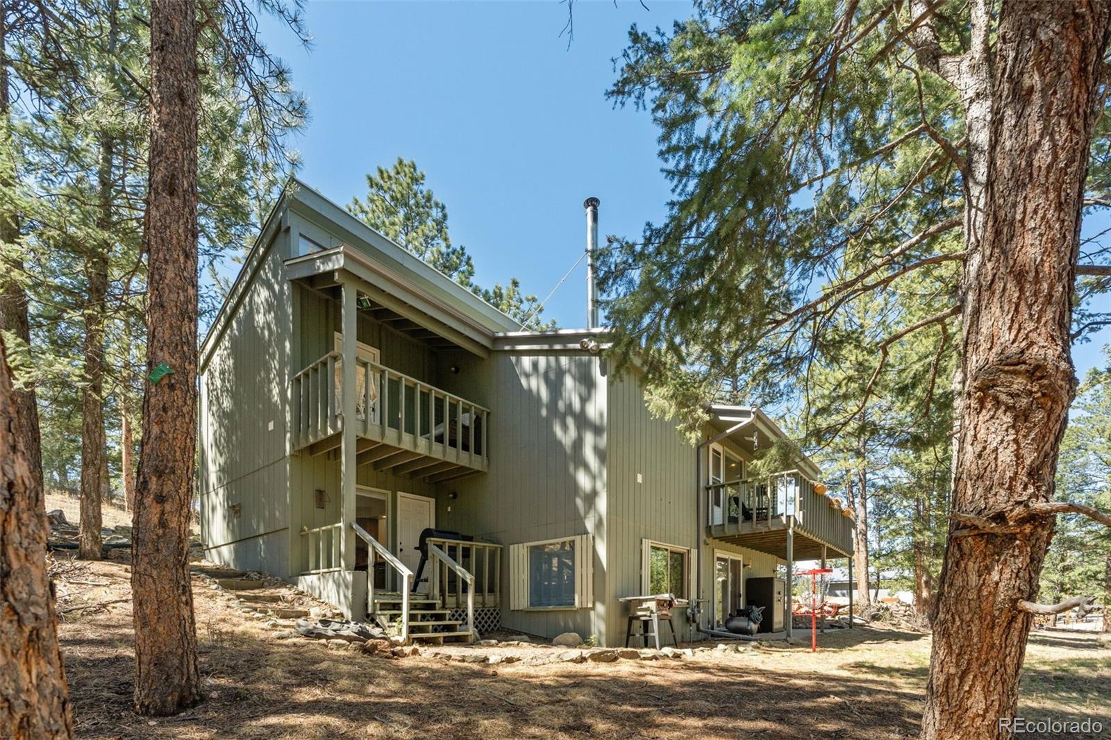 20 Long Ridge Drive Bailey CO 80421