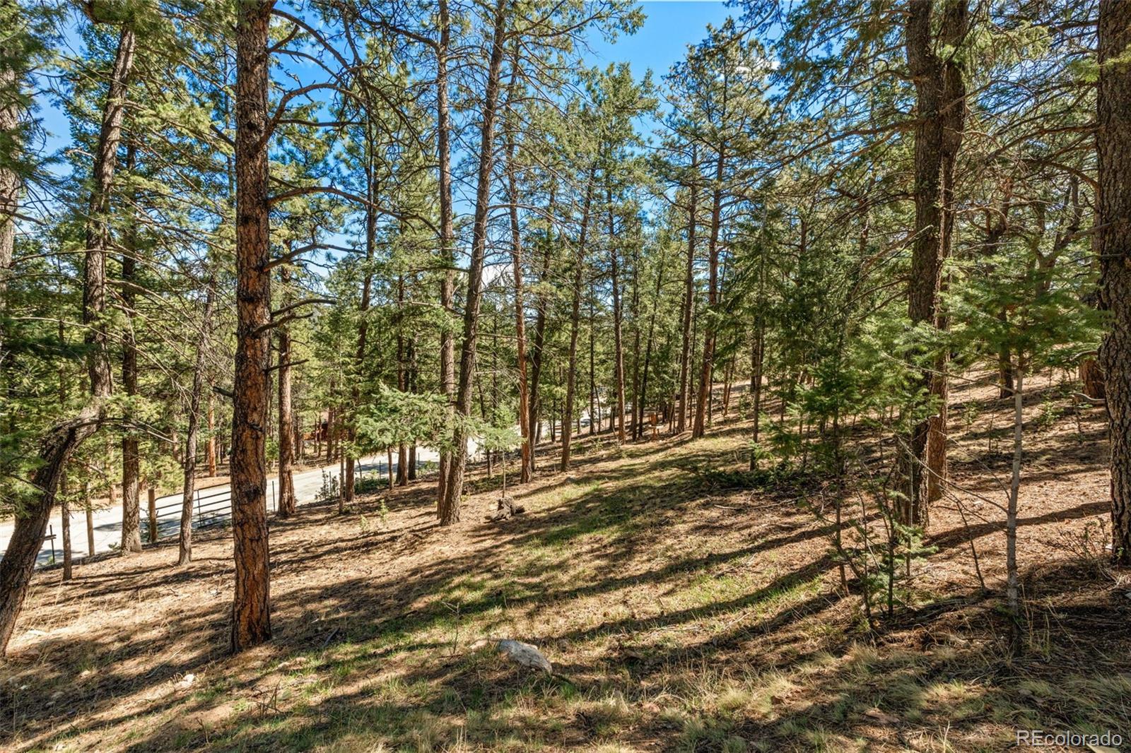 20 Long Ridge Drive Bailey CO 80421