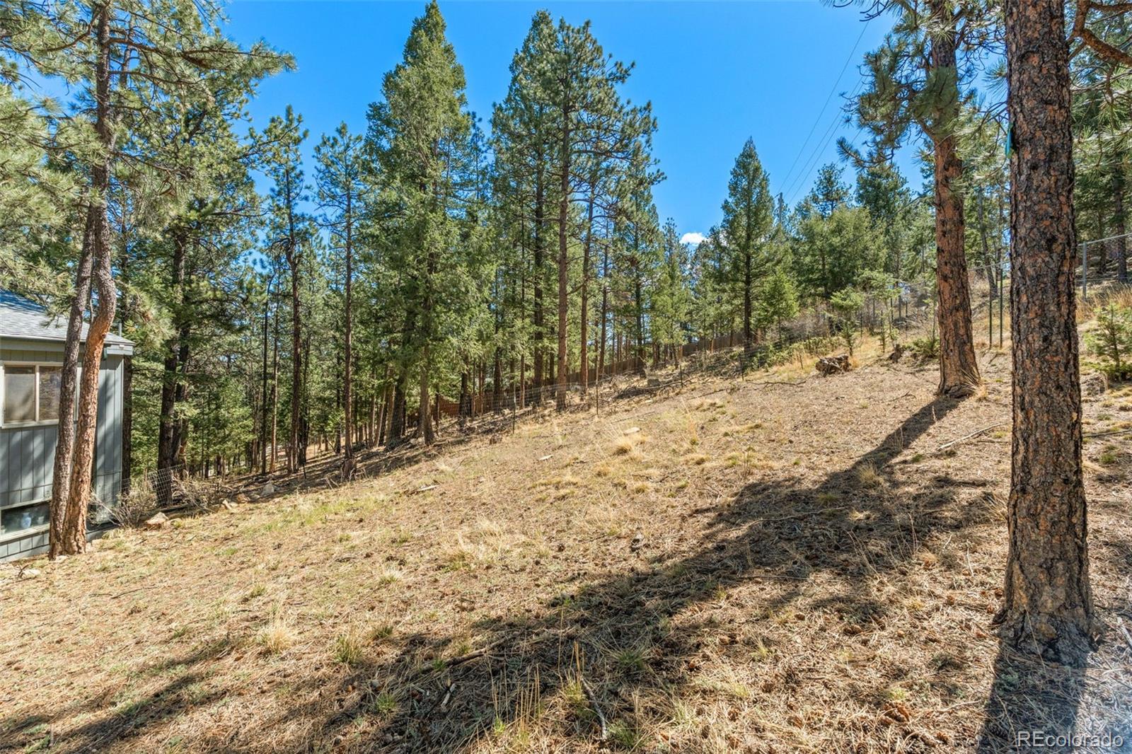 20 Long Ridge Drive Bailey CO 80421