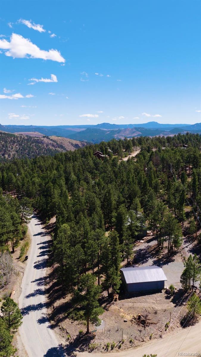 20 Long Ridge Drive Bailey CO 80421
