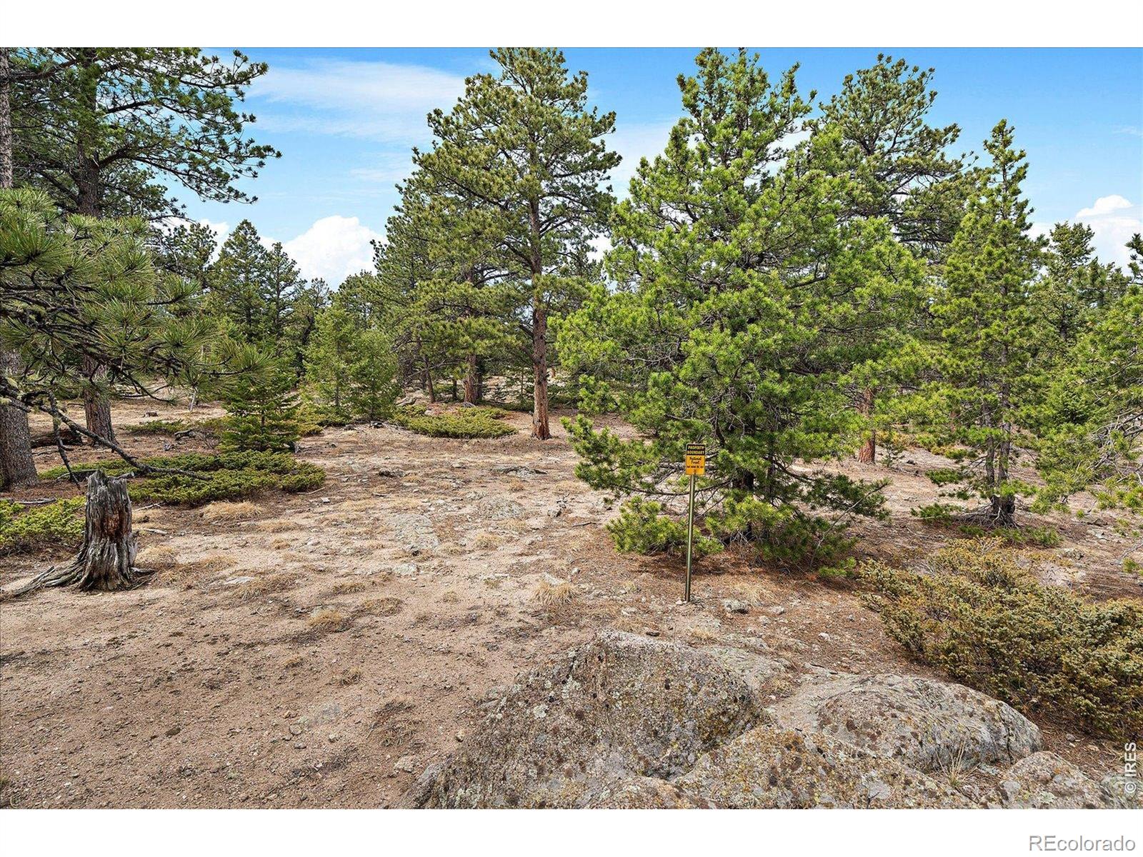 902 Rock Lake Road Ward CO 80481