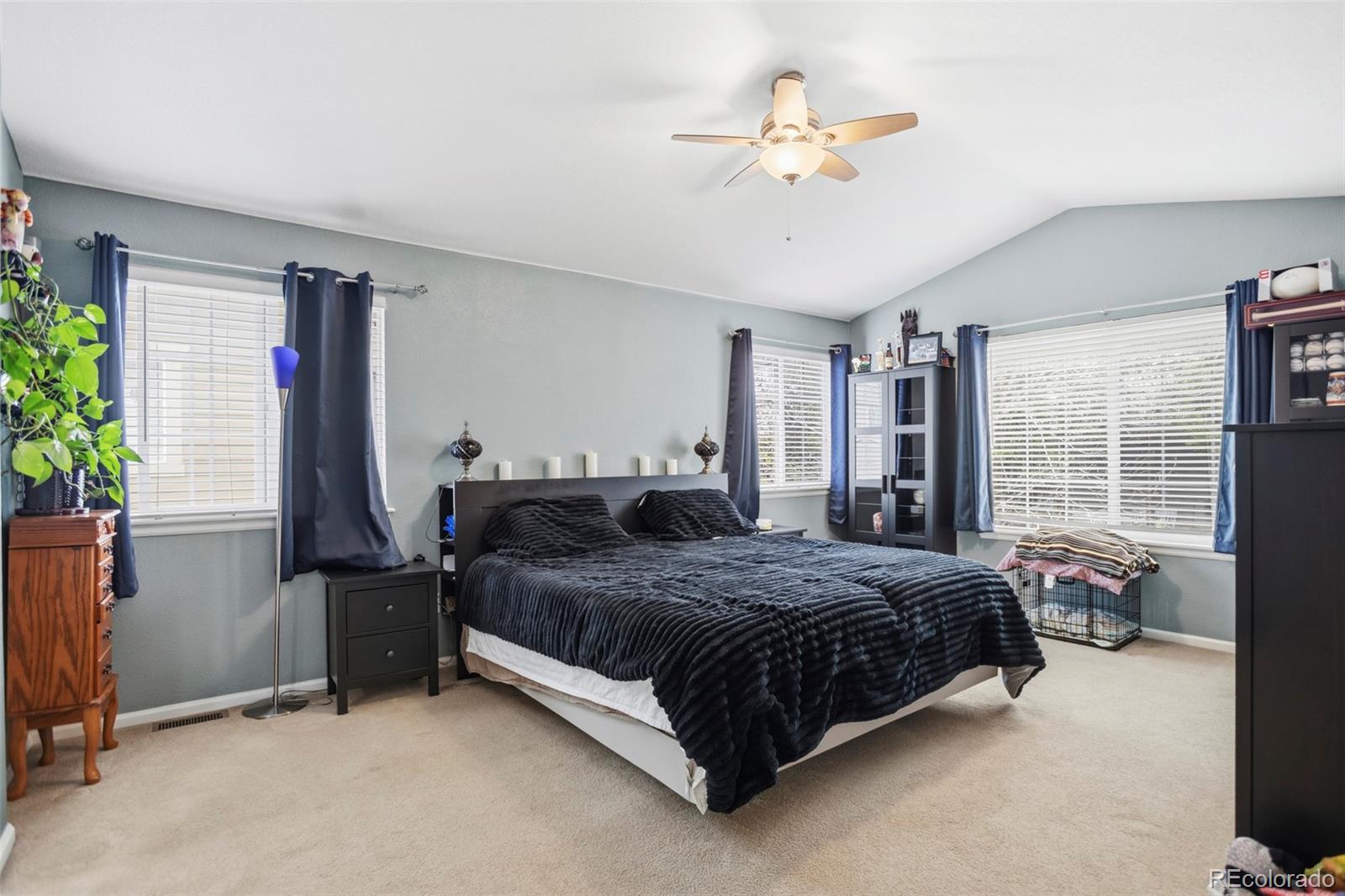 8404 Snaffle Bit Court Littleton CO 80125