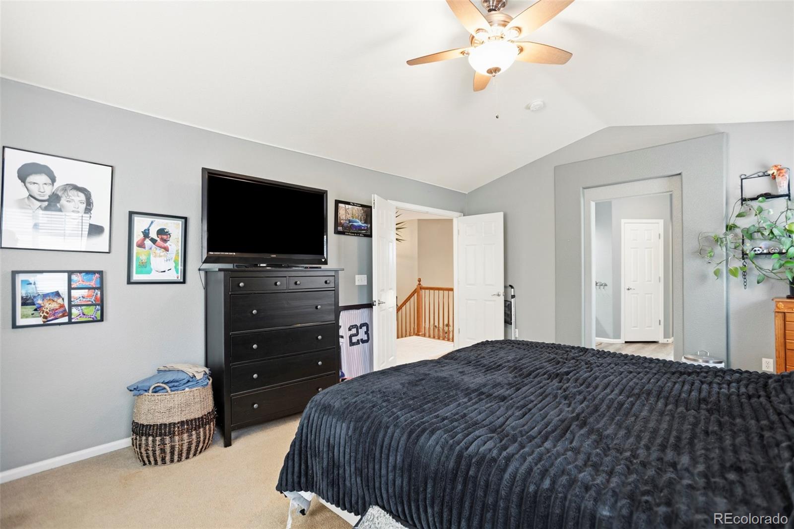 8404 Snaffle Bit Court Littleton CO 80125
