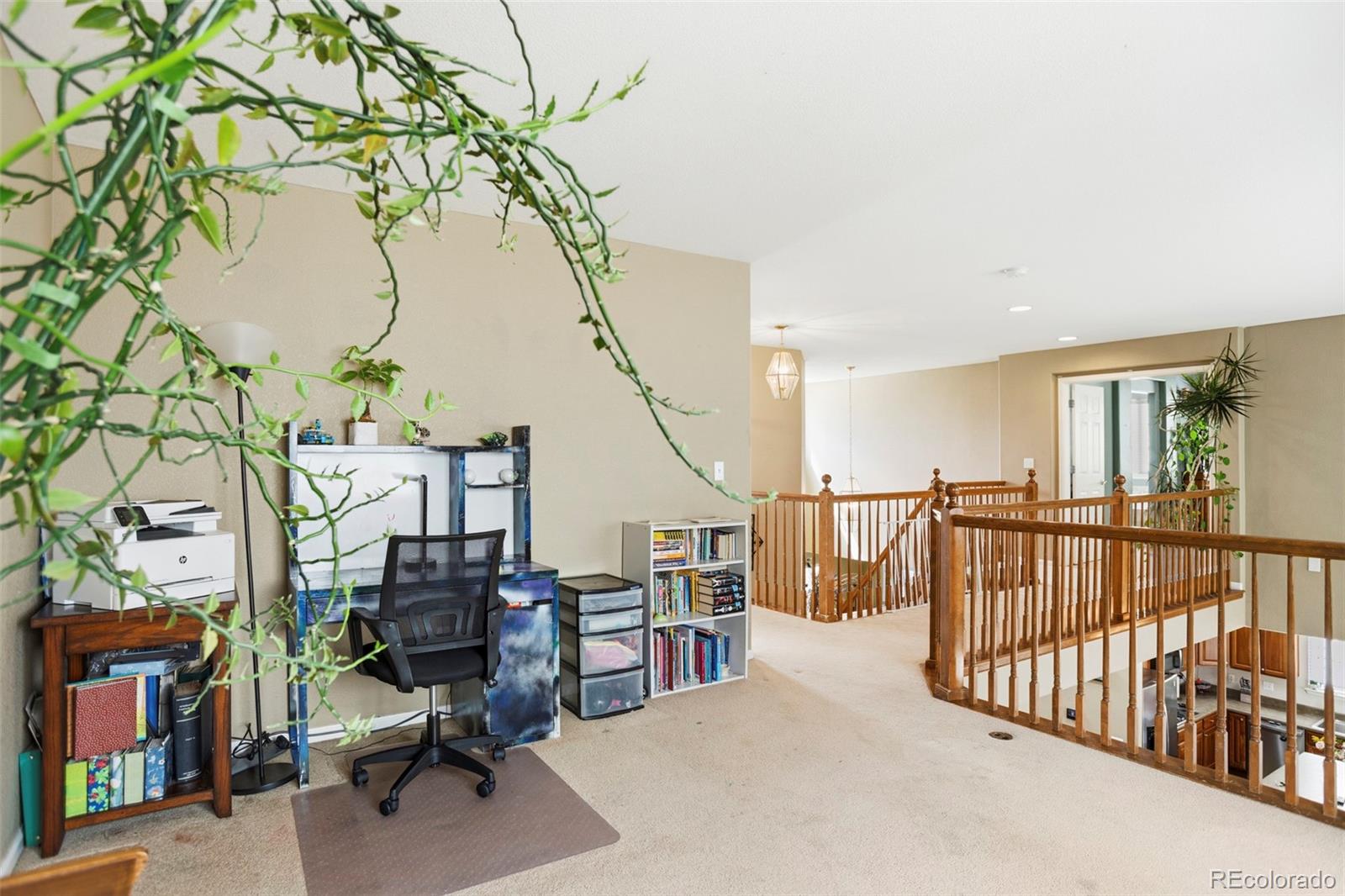 8404 Snaffle Bit Court Littleton CO 80125