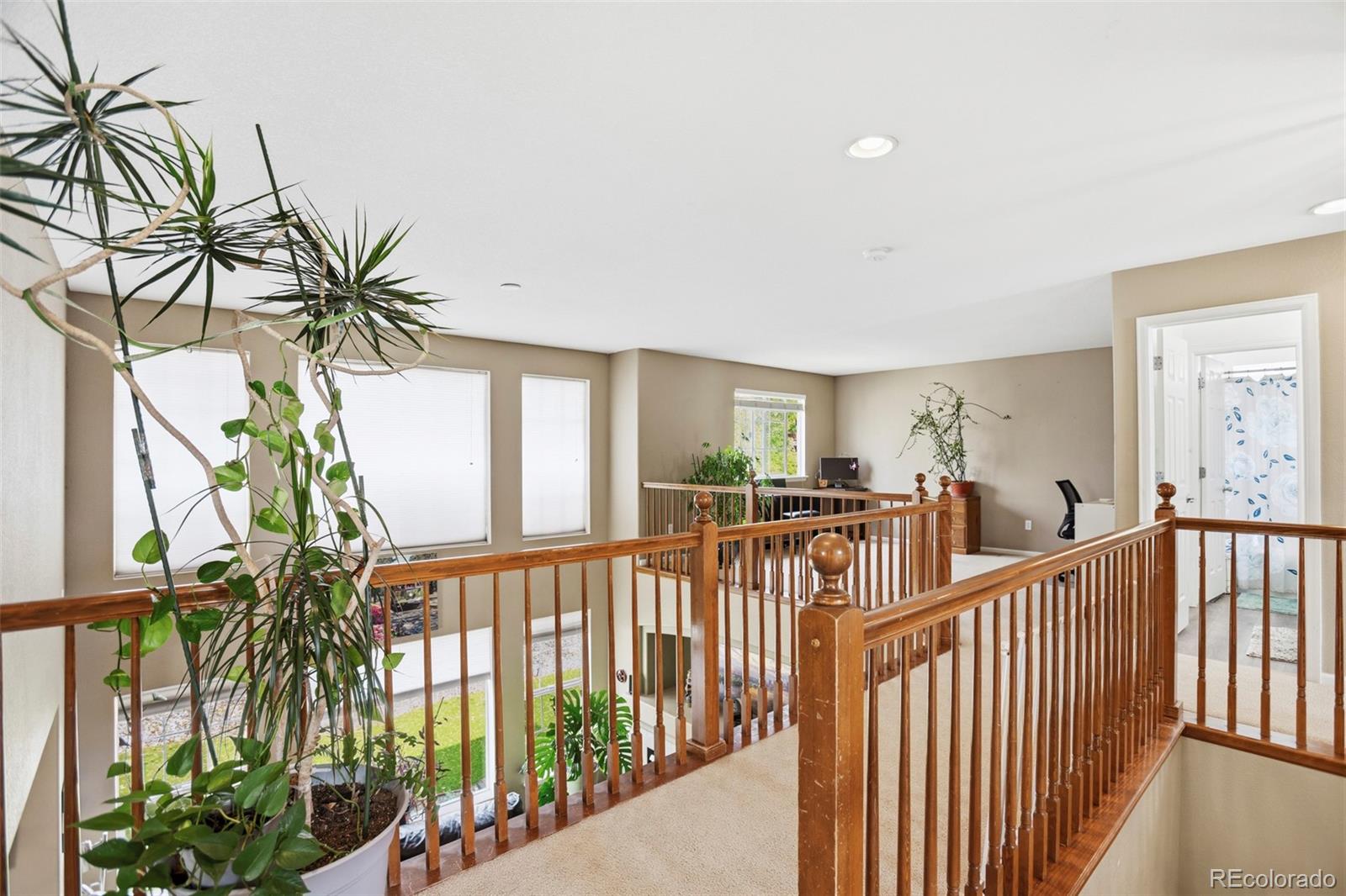 8404 Snaffle Bit Court Littleton CO 80125