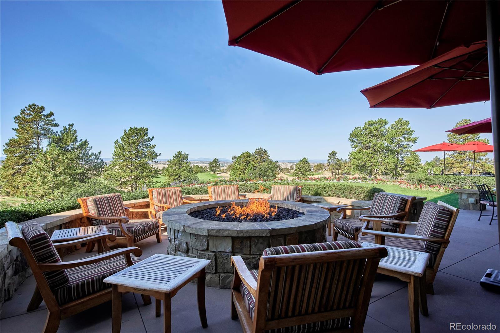 7973 Star Lily Court Parker CO 80134
