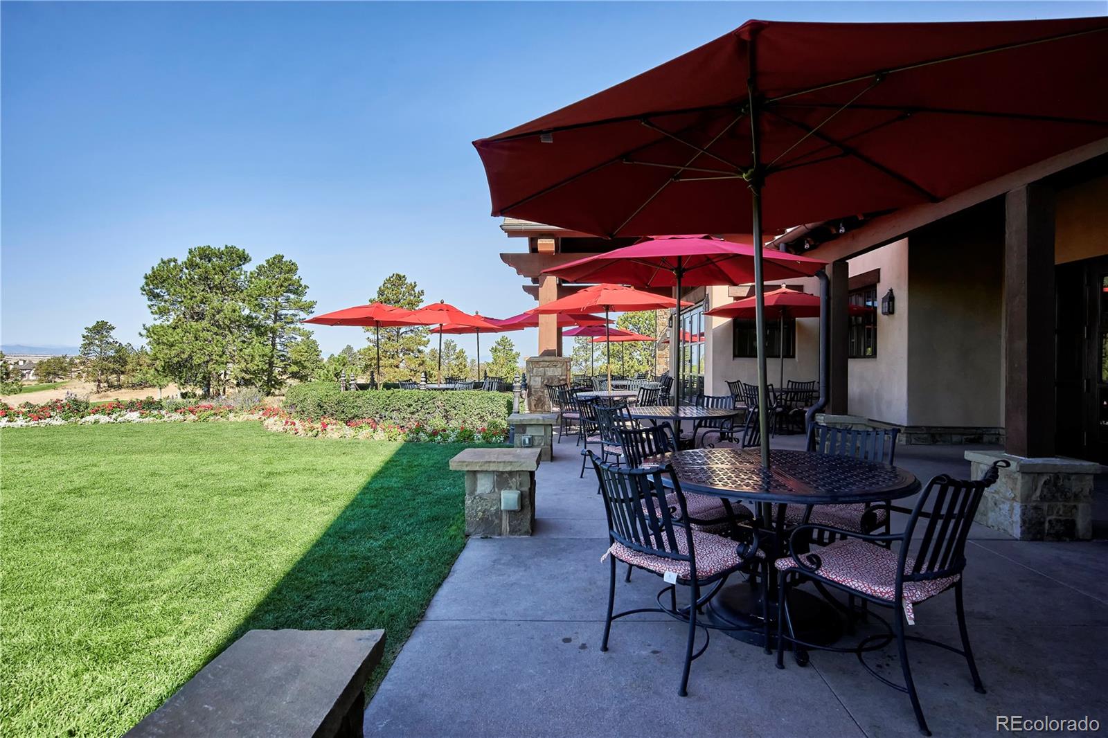 7973 Star Lily Court Parker CO 80134