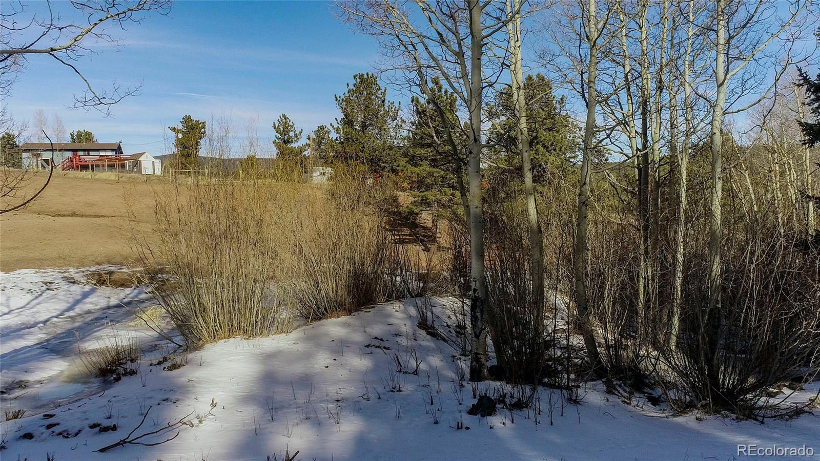 637 Rock Road Bailey CO 80421