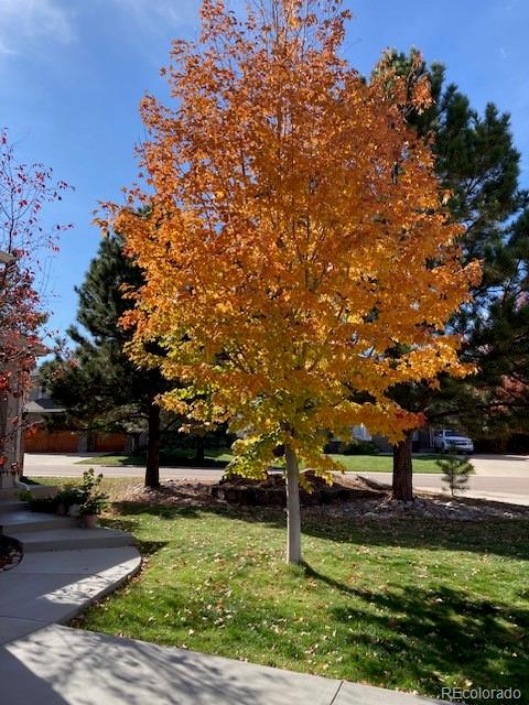 7808 Arundel Lane Lone Tree CO 80124