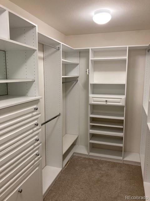 7808 Arundel Lane Lone Tree CO 80124