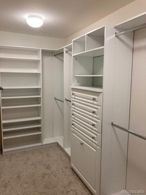 7808 Arundel Lane Lone Tree CO 80124