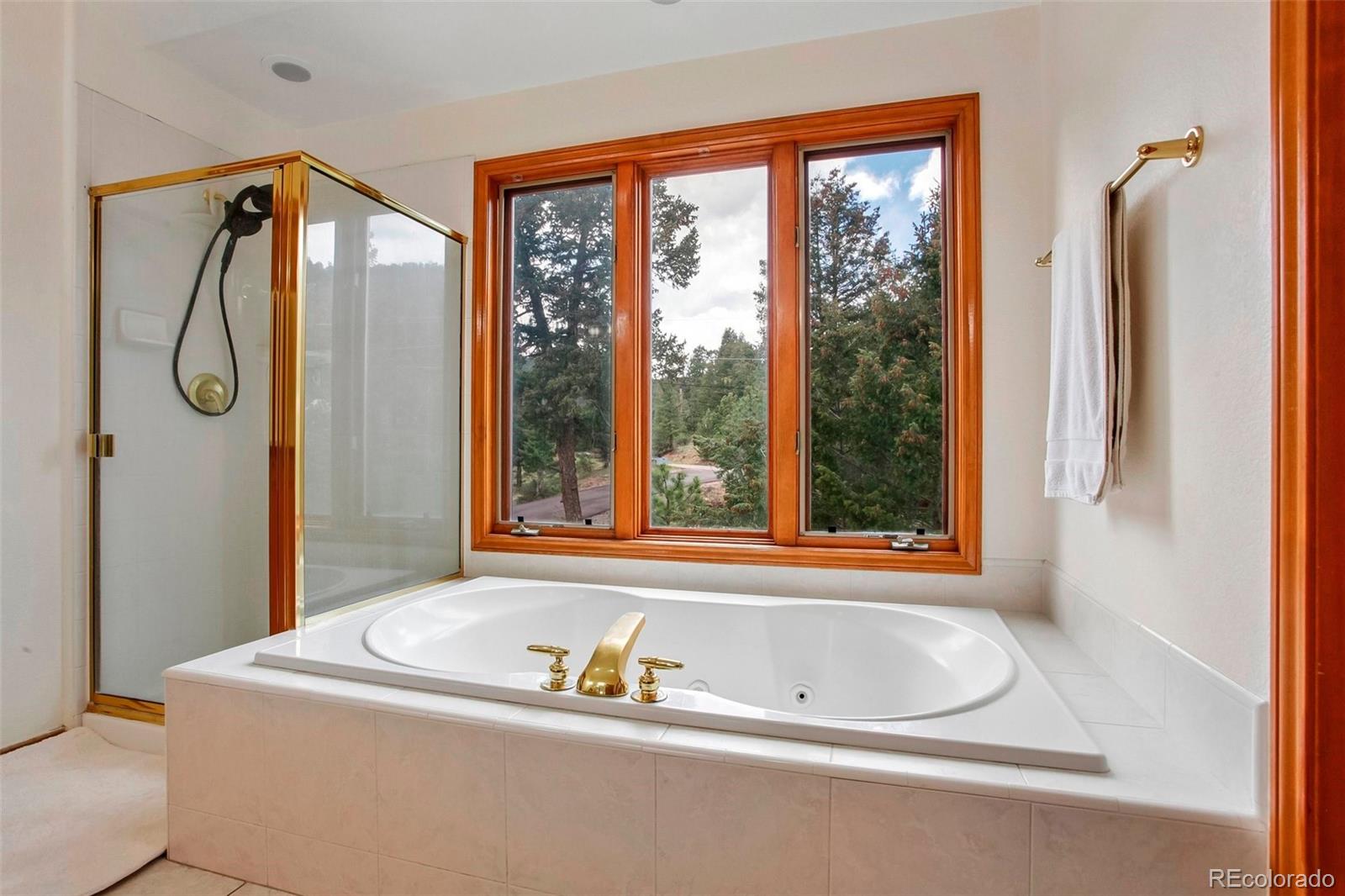 6252 S King Drive Evergreen CO 80439