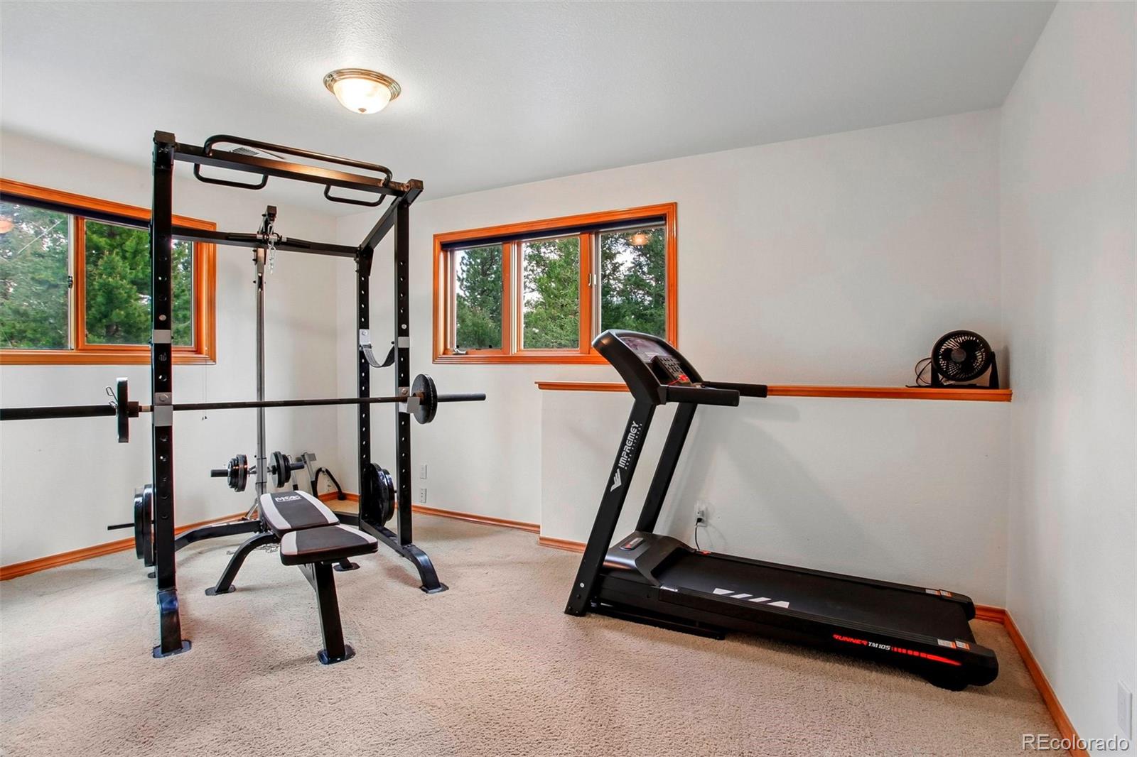 6252 S King Drive Evergreen CO 80439