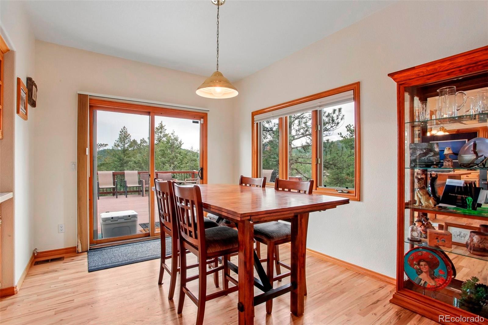 6252 S King Drive Evergreen CO 80439