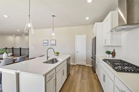 13806 Honey Hush Trail Parker CO 80134