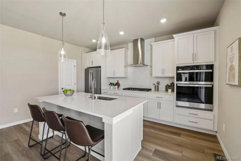 13806 Honey Hush Trail Parker CO 80134