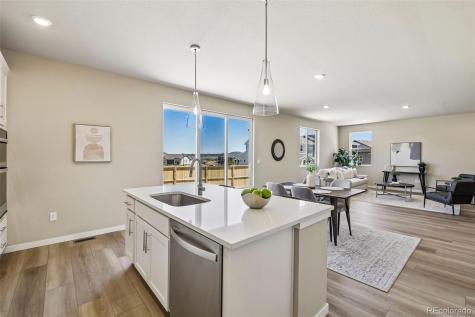 13806 Honey Hush Trail Parker CO 80134