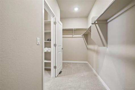 13806 Honey Hush Trail Parker CO 80134