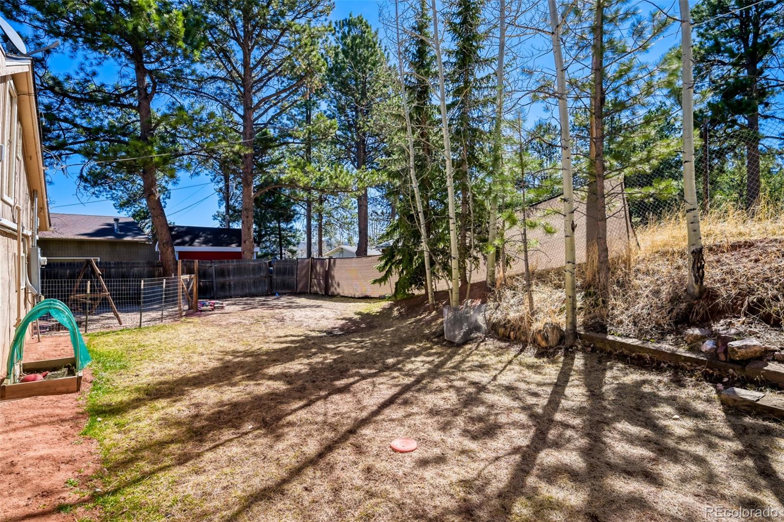 919 W Browning Avenue Woodland Park CO 80863