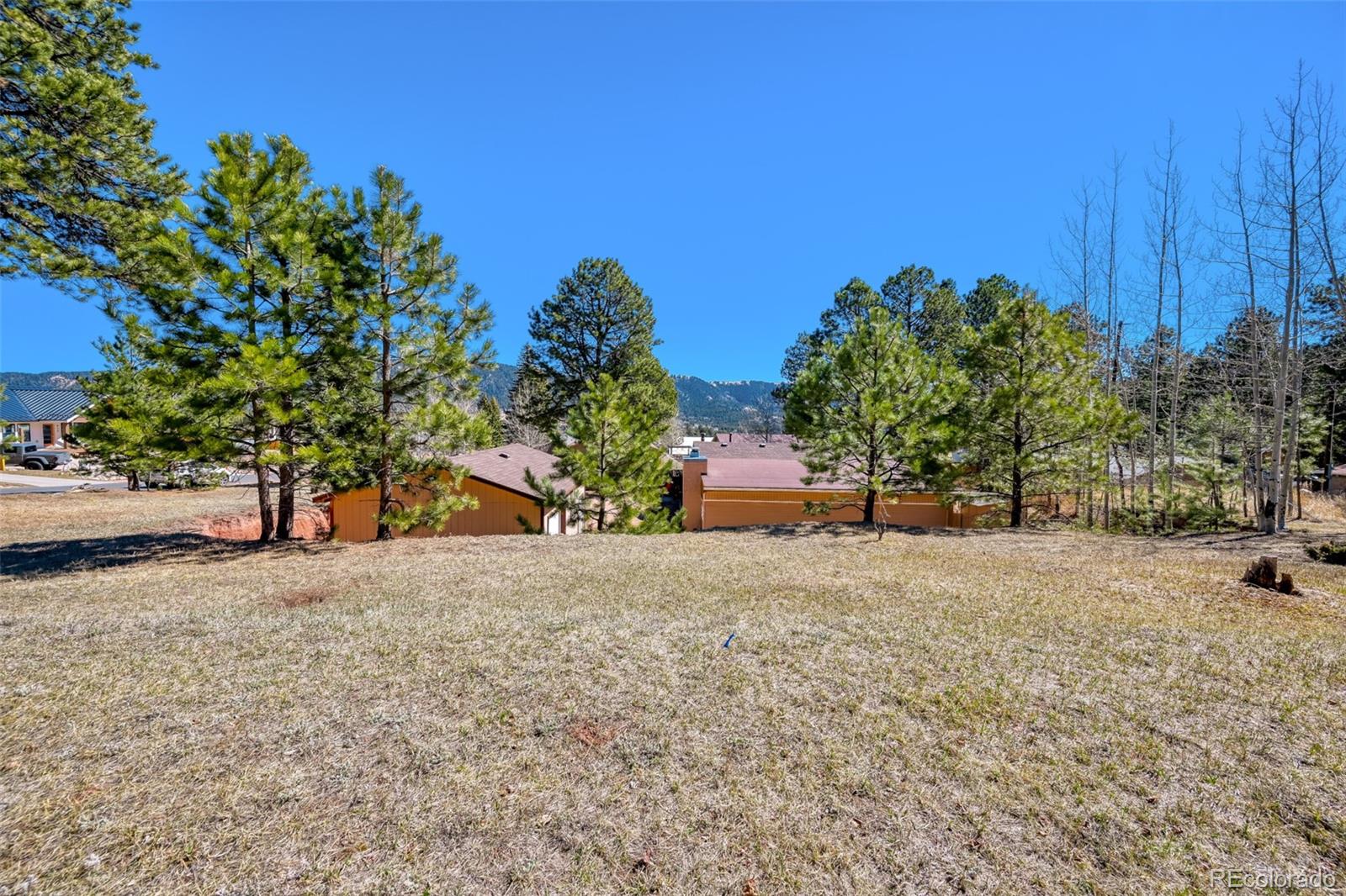 919 W Browning Avenue Woodland Park CO 80863