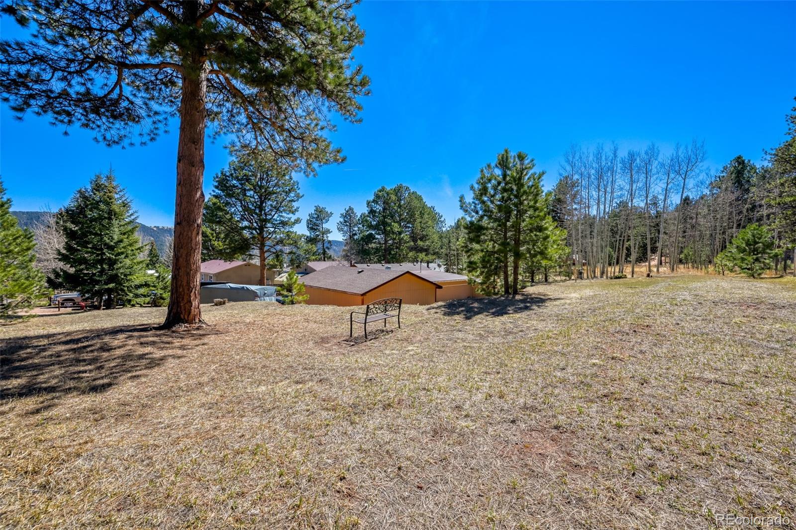 919 W Browning Avenue Woodland Park CO 80863