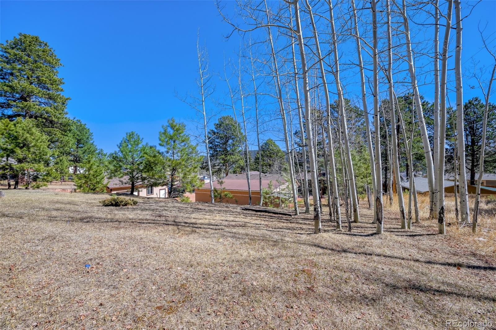 919 W Browning Avenue Woodland Park CO 80863