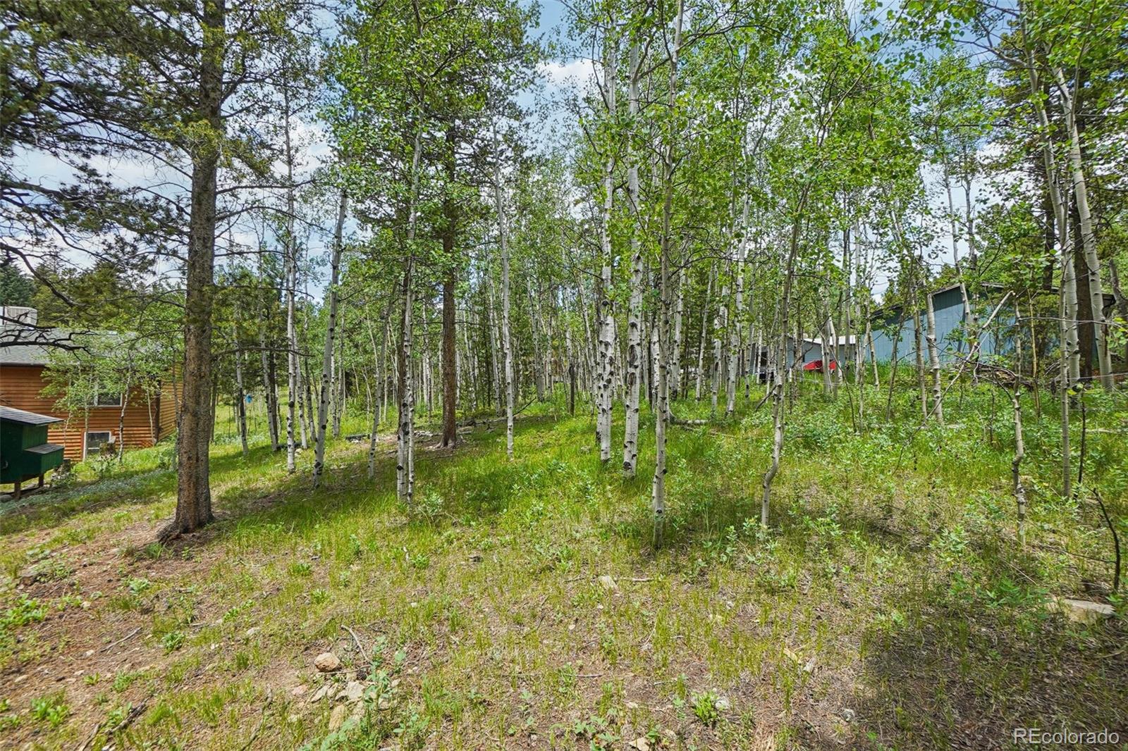 466 Karlann Drive Black Hawk CO 80422